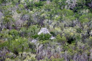 Ruinas entre la Selva