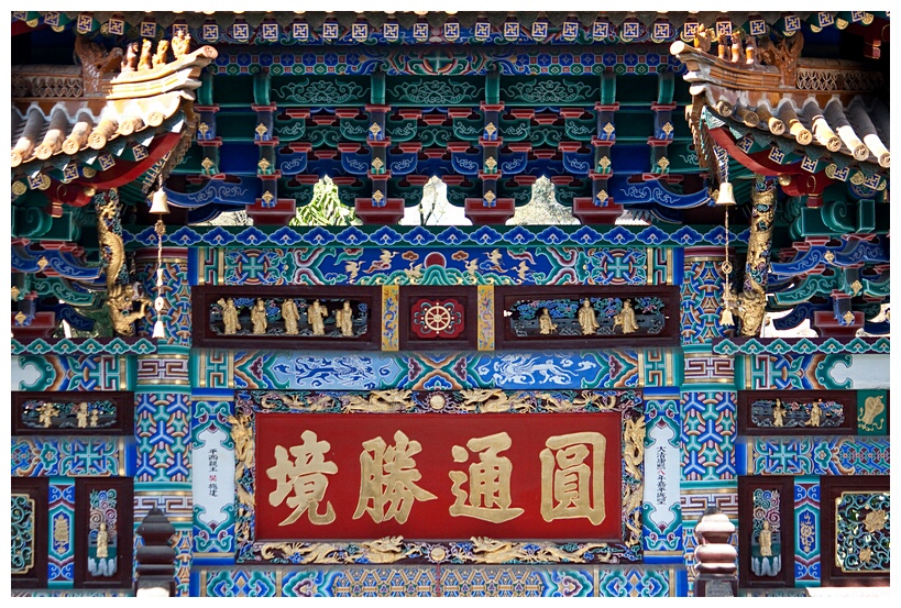 Yuantong Si