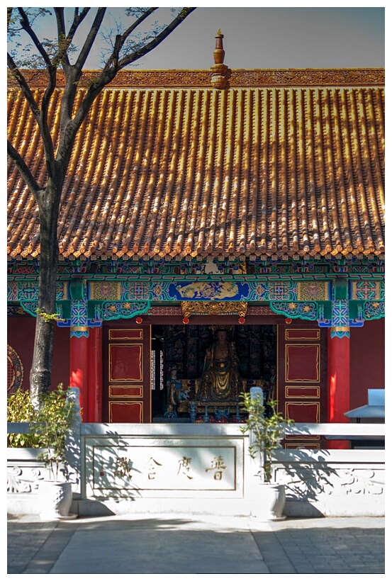 Yuantong Si