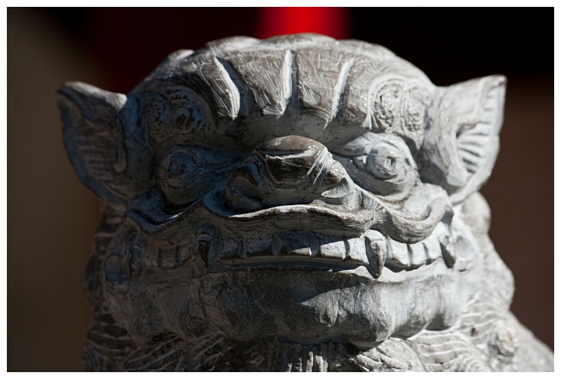 Guardian Lion