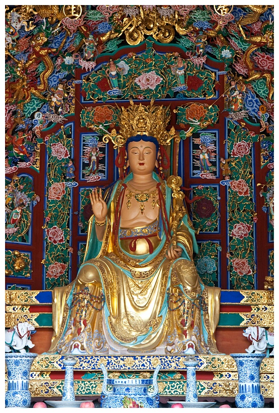 Yuantong Si