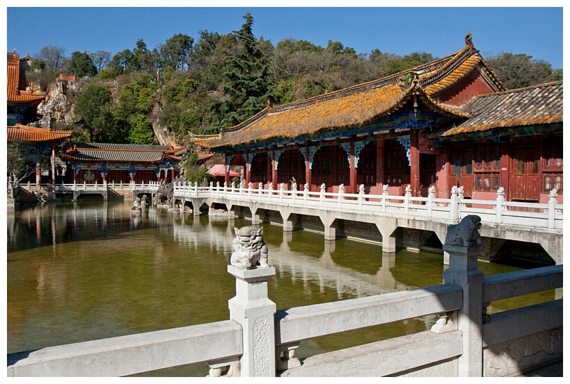Yuantong Si