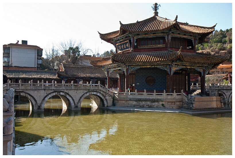 Pool of Setting Free