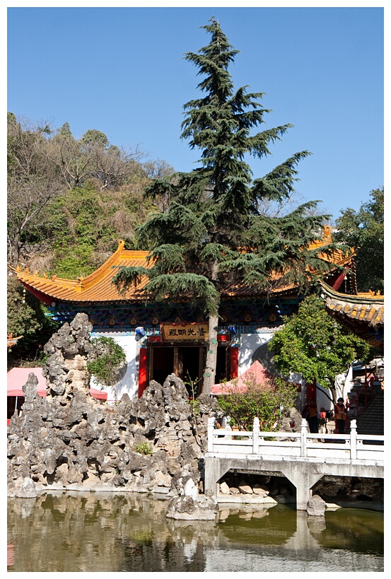 Yuantong Si