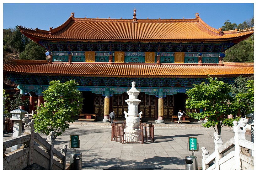 Yuantong Si