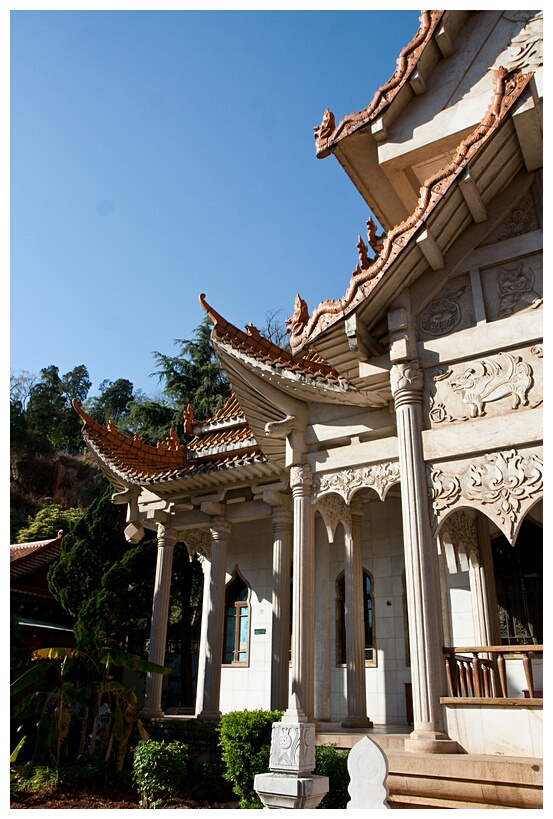Yuantong Si
