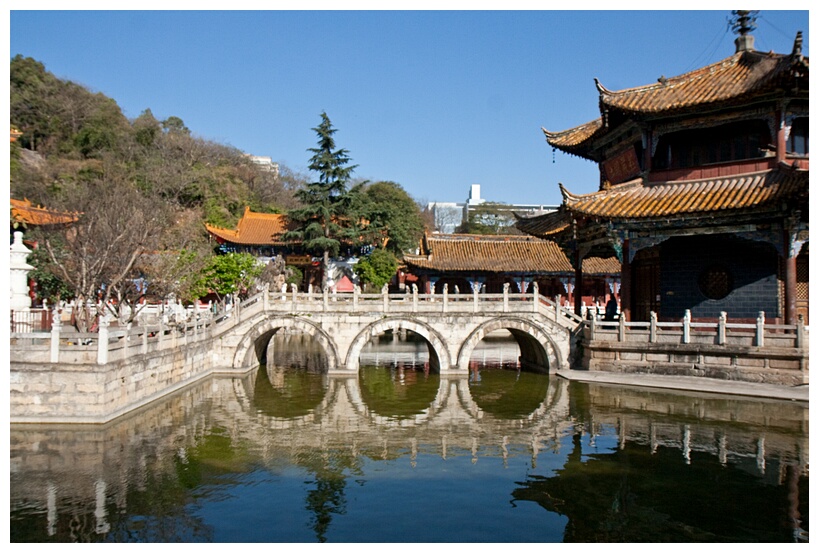 Yuantong Si
