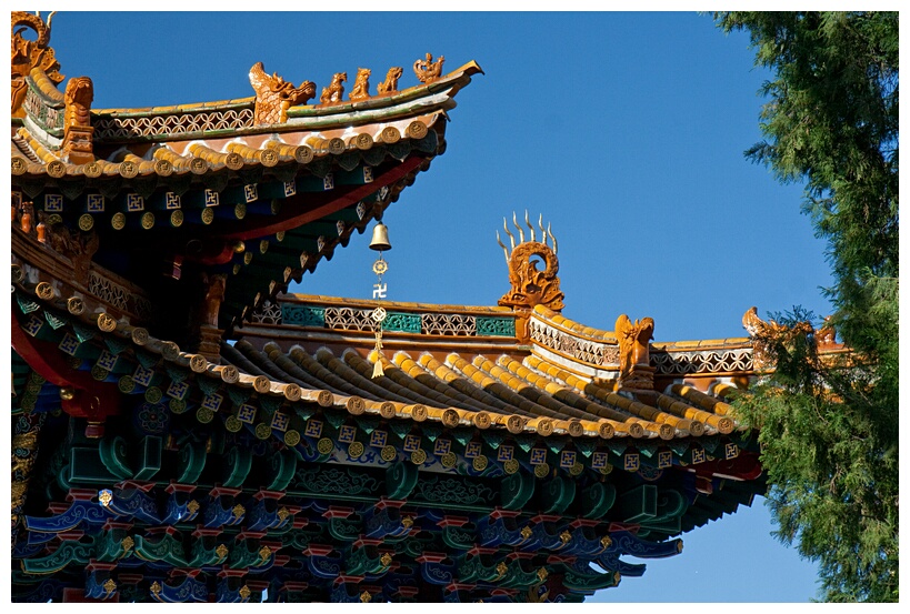 Yuantong Si