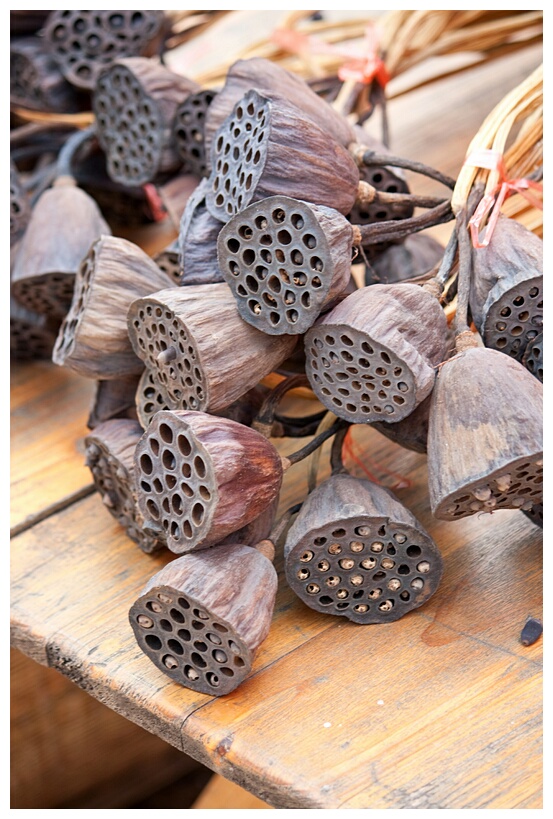 Lotus Seeds
