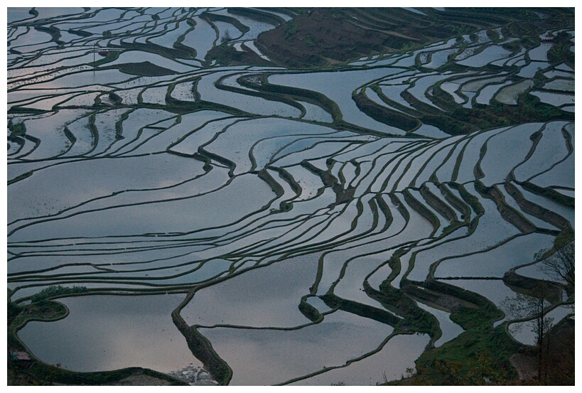 Duoyishu Terraced Landscape