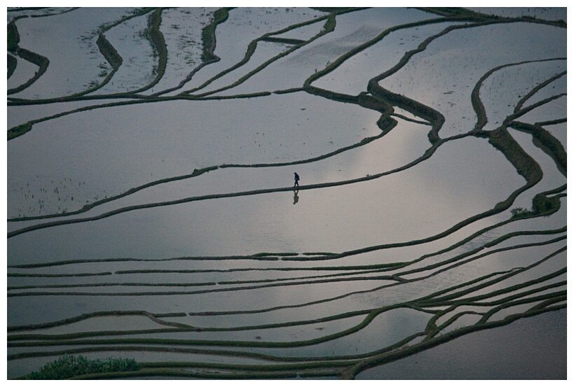Duoyishu Terraced Landscape