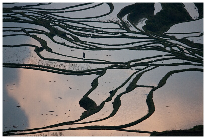 Yuanyang Rice Terraces