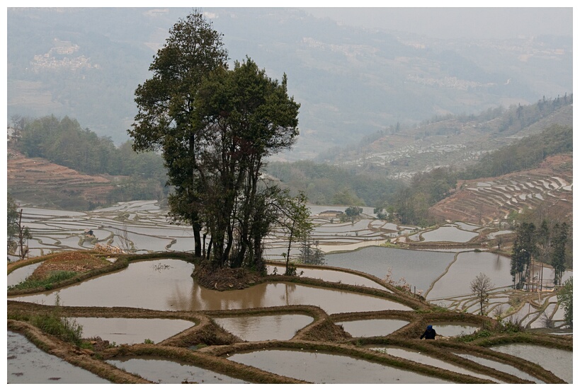 Yuanyang Rice Terraces