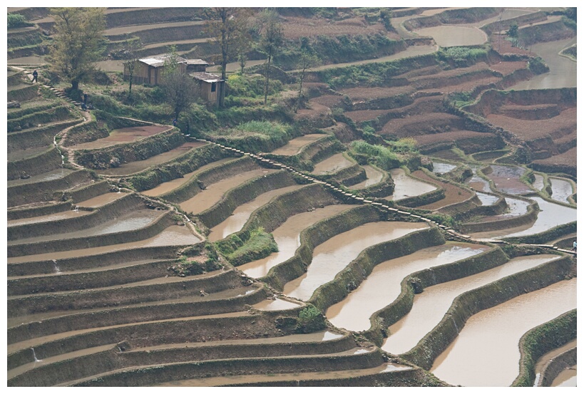 Terraces