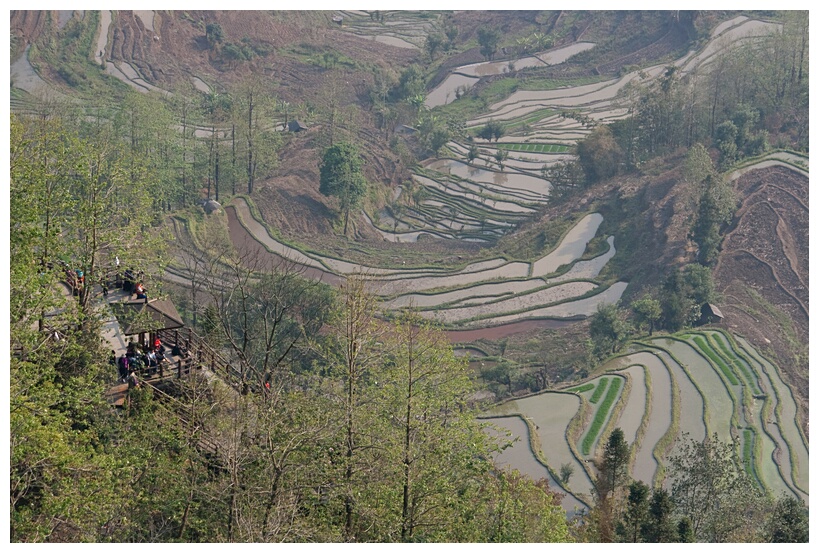 Laohuzui Rice Terraces