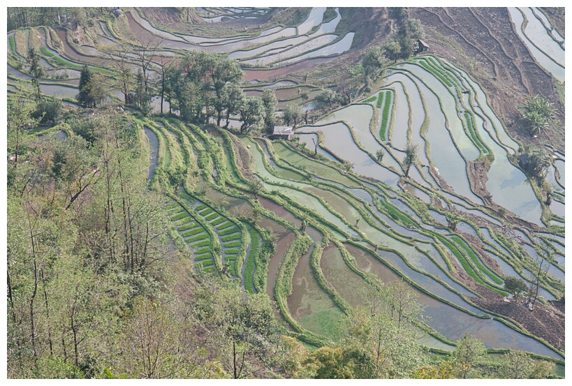 Laohuzui Rice Terraces