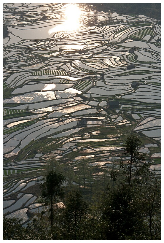 Yuanyang Rice Terraces