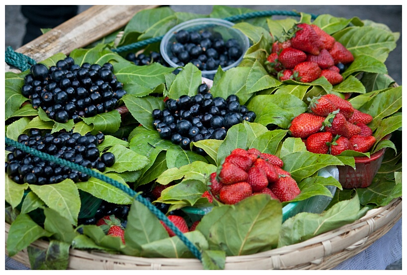 Fruits