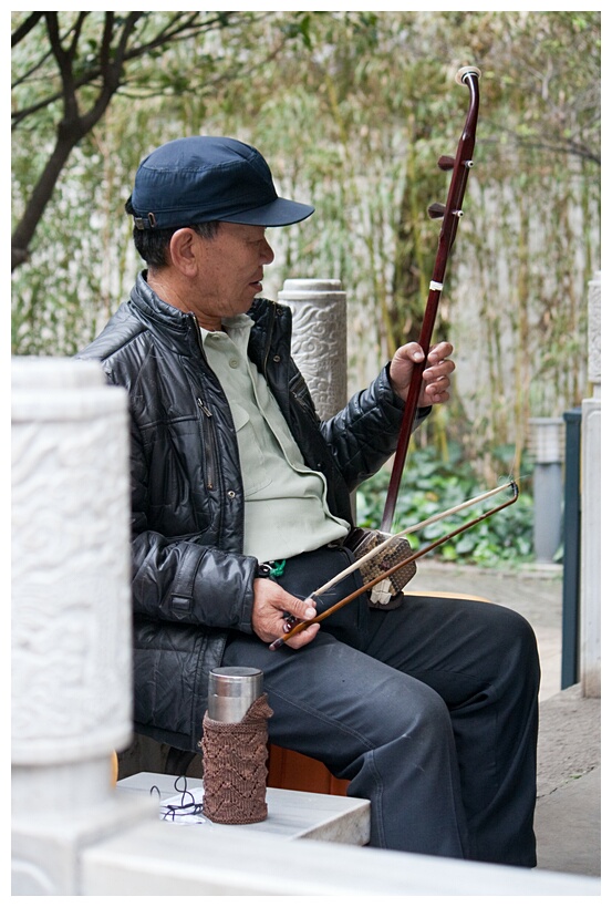 Musician