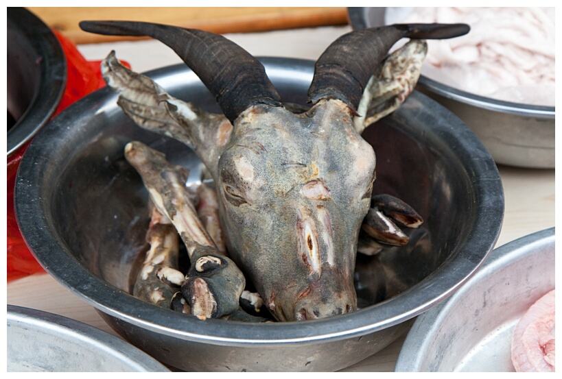 Goat Head