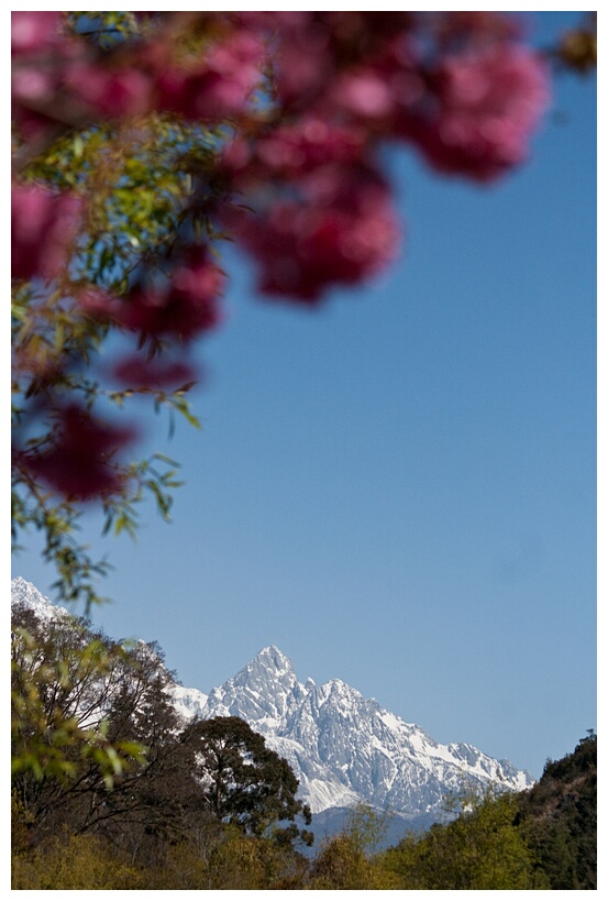 Jade Dragon Snow Mountain