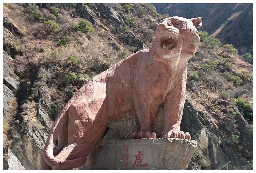 The Tiger
