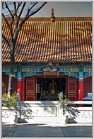 Yuantong Si