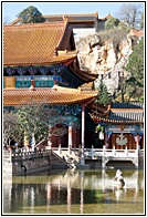 Yuantong Si