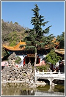 Yuantong Si
