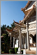 Yuantong Si