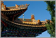 Yuantong Si