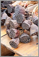 Lotus Seeds