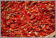 Red Chilies