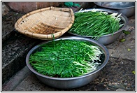 Fresh Vegetables