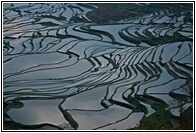 Duoyishu Terraced Landscape