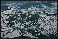 Yuanyang Rice Terraces