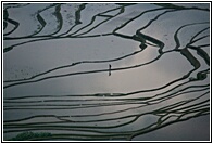 Duoyishu Terraced Landscape