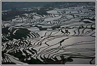Duoyishu Terraced Landscape