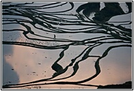 Yuanyang Rice Terraces