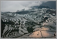 Duoyishu Terraced Landscape