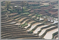 Terraces