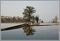 Reflects