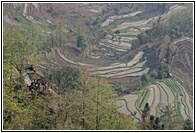 Laohuzui Rice Terraces