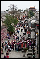 Dali Street