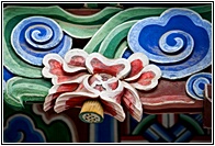 Lotus Flower