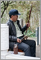 Musician