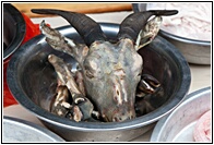 Goat Head
