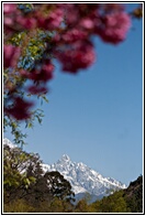 Jade Dragon Snow Mountain